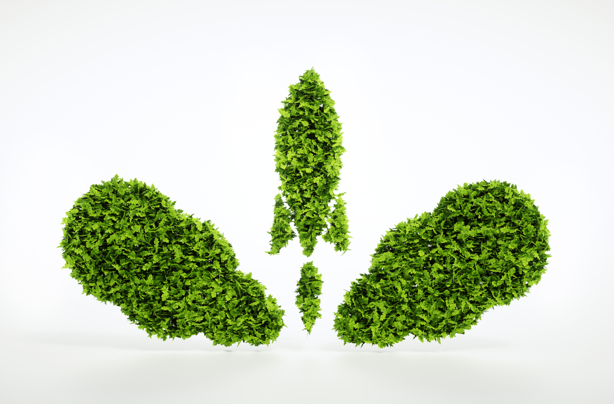 審計報告要求標準